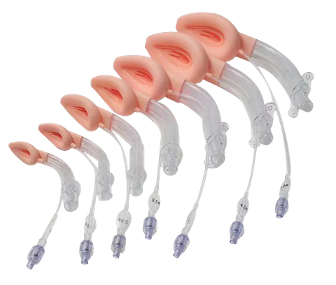 Double Lumen Laryngeal Mask, with Gastric Lumen - Silicone, Disposable,Standard