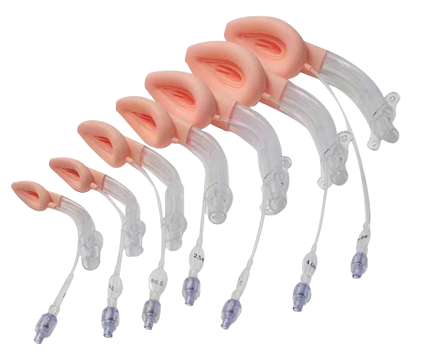 Double Lumen Laryngeal Mask, with Gastric Lumen - Silicone, Disposable,Standard